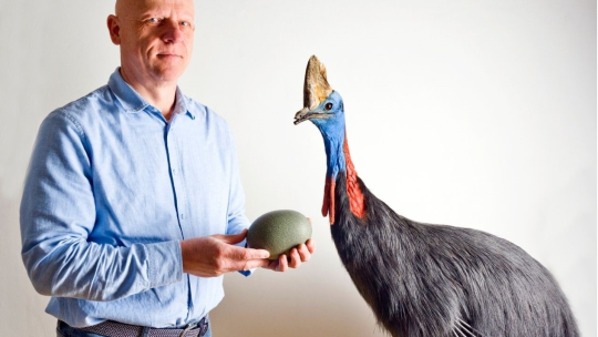 Komentovaná prohlídky výstavy Jako vejce vejci?