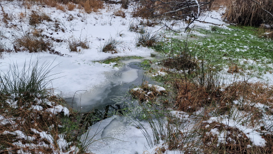 Záhadný jev Trauznického údolí