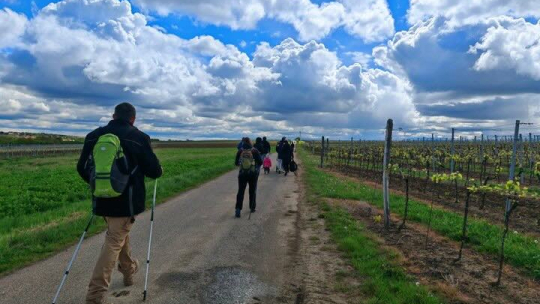 Jarní procházka mezi vinicemi