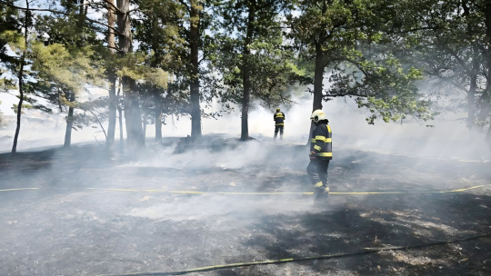 Požár pole a lesa u Hostimi hasiči zlikvidovali