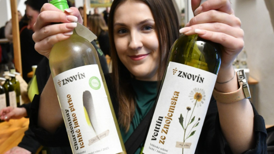 Víno přivedlo odvážné do víru tance