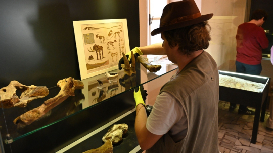 Komentovaná prohlídka přiblíží pravěký život na Znojemsku i práci paleontologů