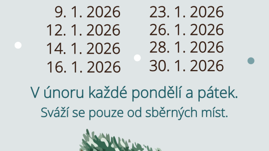 Svoz vánočních stromků ve Znojmě startuje 5. ledna