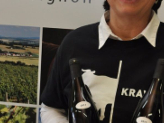 Šaldorfský Kravák
