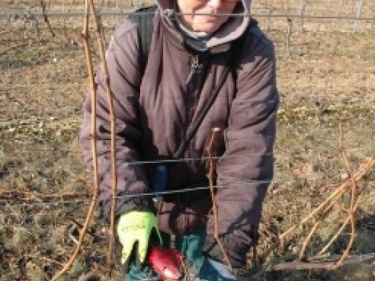 Elektrické nůžky si nemohu vynachválit