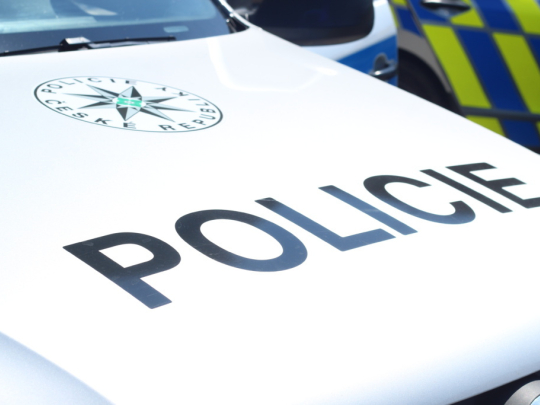 Opilého zastavily dva stromy