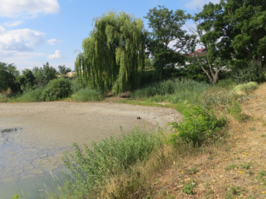 Vysychající rybník Kacíř žaluje na nás všechny