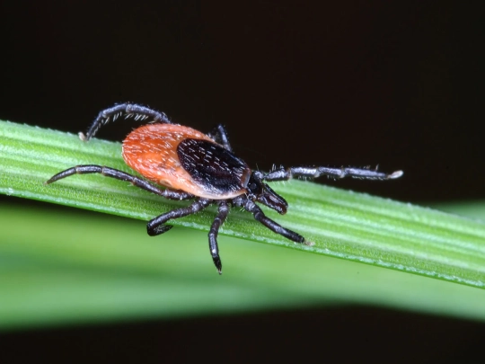 Pozor na pijáky v parcích