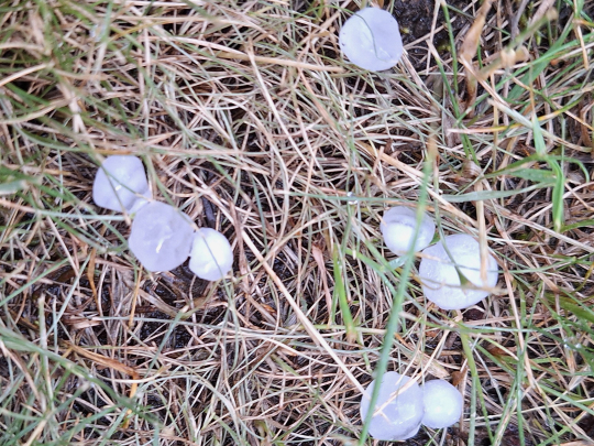 33b15a10-20260530-154018.jpeg