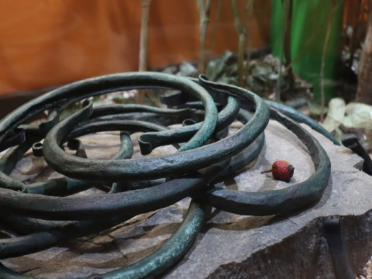 Na Alšovce ukážou, co předchází cestě archeologických nálezů do vitríny