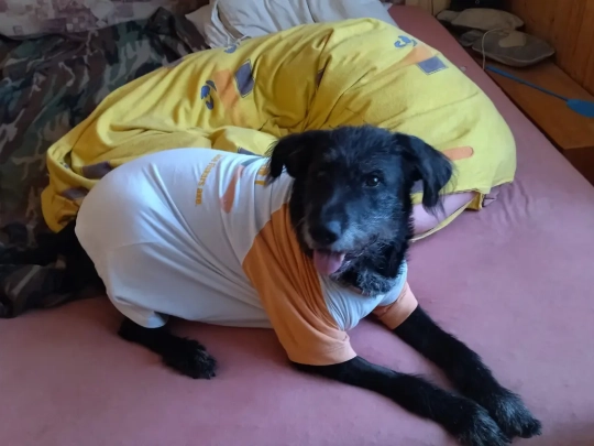 Rozdávala lásku, teď očima prosí o pomoc