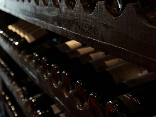 Národní vinařské centrum vyhlásilo vítěze Salónu vín 2024. Uspěla v něm i vína z regionu