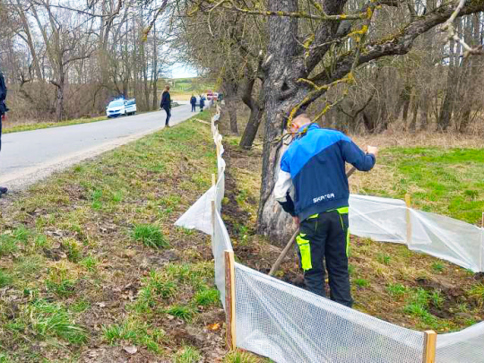 V Rakšicích už zamilovaným smrt nehrozí