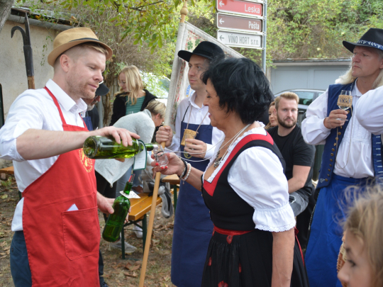 Rodí se Dobšické vinobraní