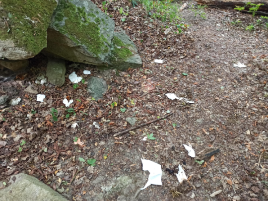 d15cb8af-kapesnickynpp.png