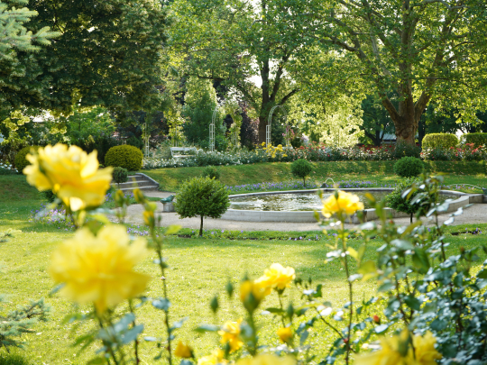 e5d29979-jubilejni-park.jpeg